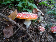 Wanderung 2012