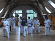 Taekwondo