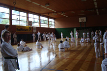 Halle