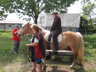 Reiten